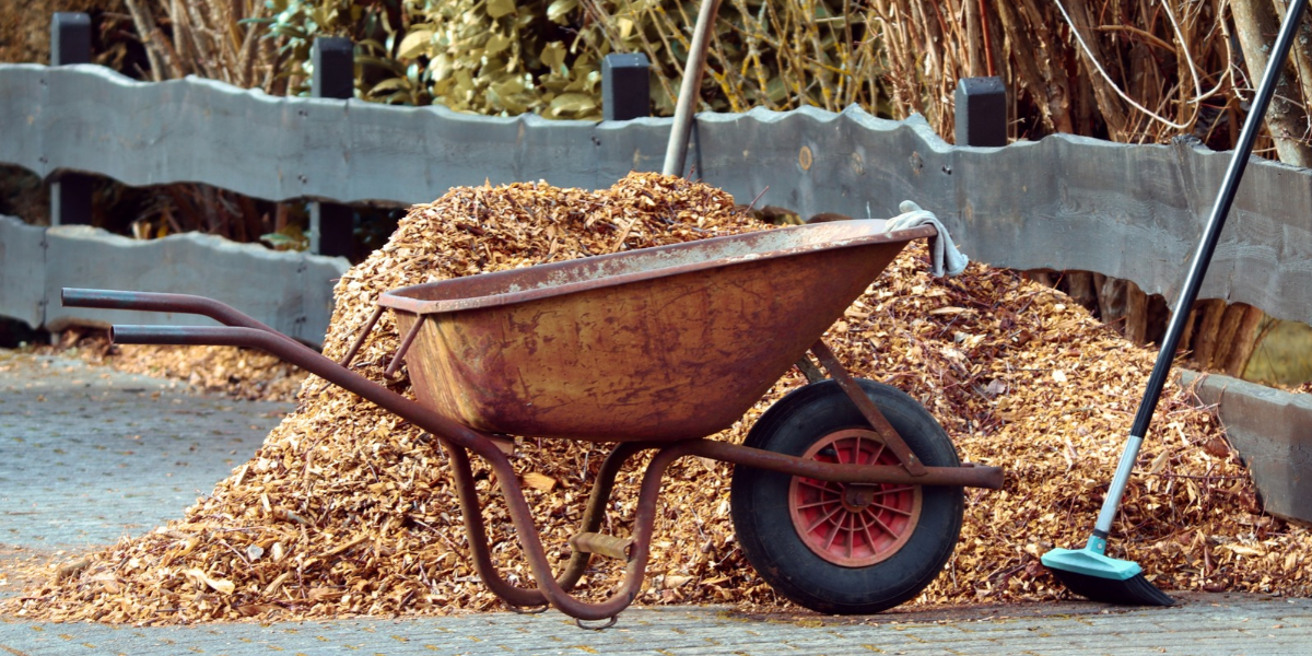 Wheelbarrow of mulch